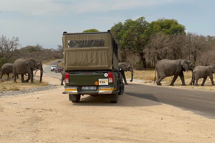 Kruger National Park Morning Safari Experience (Minimum 2 Peope)