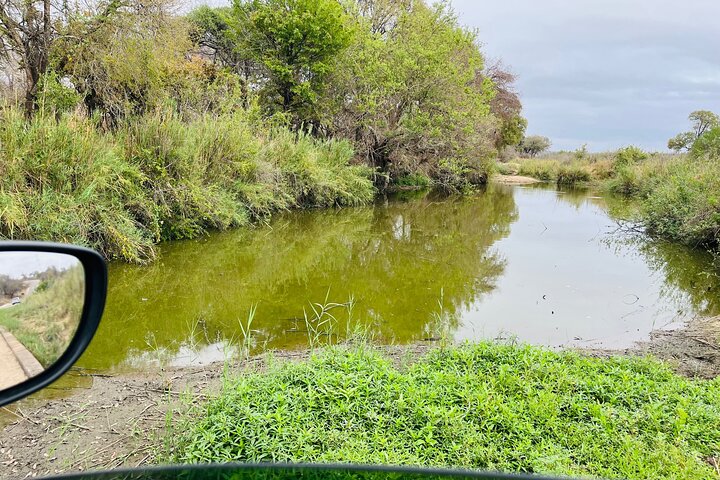 Kruger National Park Morning Safari Experience (Minimum 2 Peope)