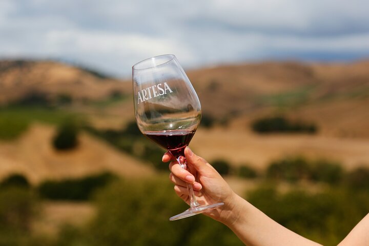 Napa and Sonoma Premium Small Group Wine Tour from San Francisco