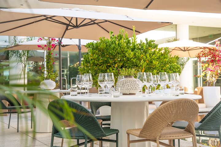 Napa and Sonoma Premium Small Group Wine Tour from San Francisco