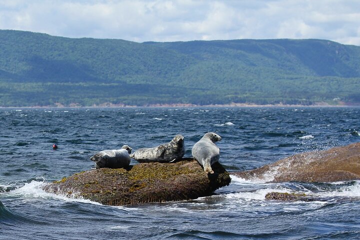Highland Tours: Cabot Trail Excursion Sydney Cape Breton Island