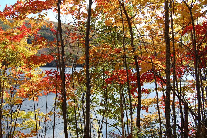 Highland Tours: Cabot Trail Excursion Sydney Cape Breton Island