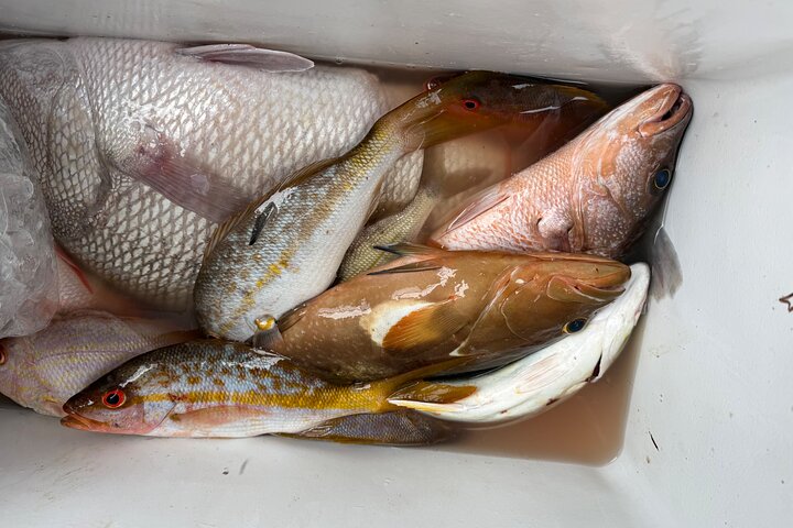 Full Day Tour with Fishing and Snorkeling from Holbox