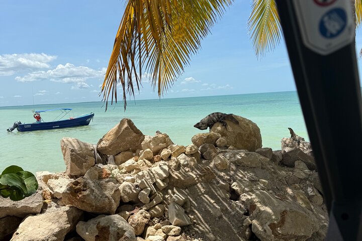 Full Day Tour with Fishing and Snorkeling from Holbox