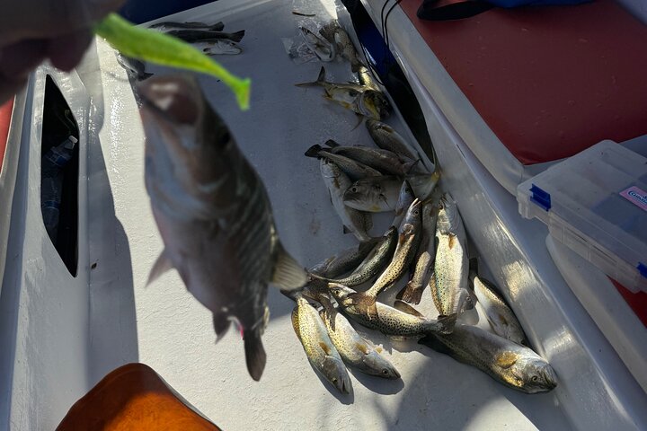 Full Day Tour with Fishing and Snorkeling from Holbox
