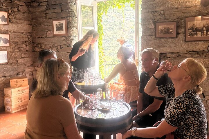 Douro Valley Premium Small-Group Tour: Wine, Lunch & Cruise