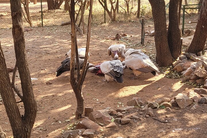 Around Gaborone Adventure