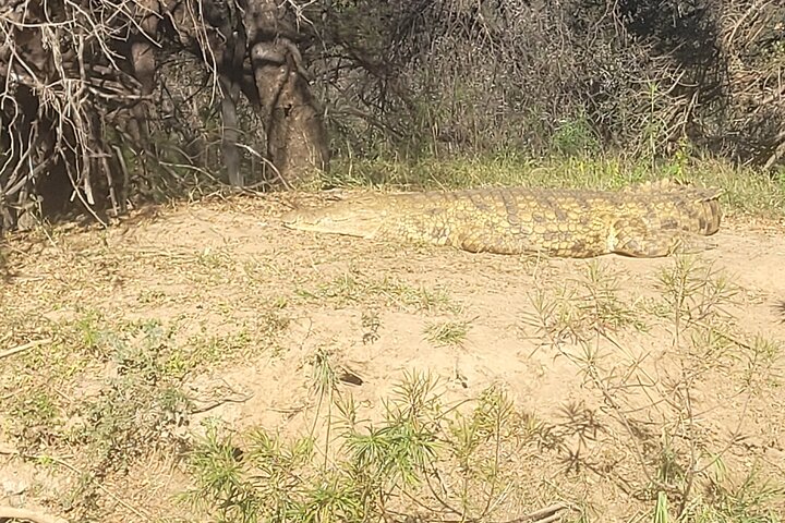 Around Gaborone Adventure