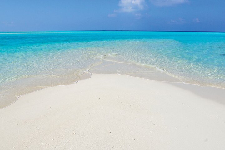 Maldives: Snorkeling with Nurse Sharks, Coral Reef, Sandbank Tour