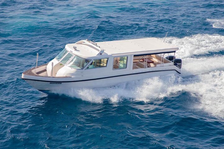 Maldives: Snorkeling with Nurse Sharks, Coral Reef, Sandbank Tour