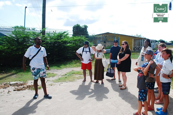 Small Group: Saona Island Full Day Tour
