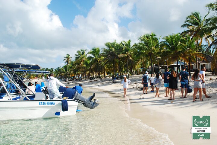Small Group: Saona Island Full Day Tour