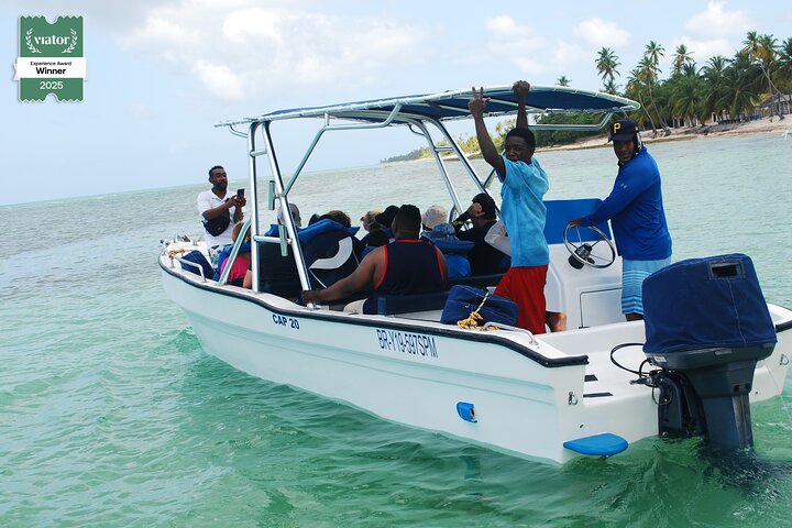 Small Group: Saona Island Full Day Tour