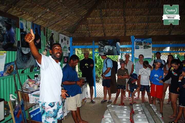 Small Group: Saona Island Full Day Tour