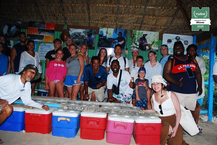 Small Group: Saona Island Full Day Tour