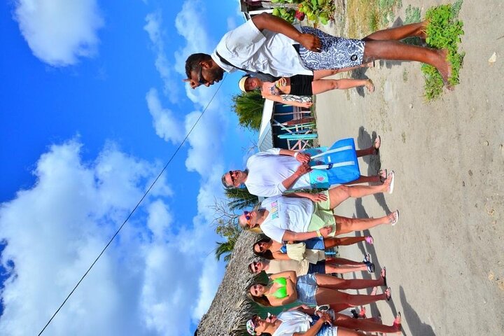 Small Group: Saona Island Full Day Tour