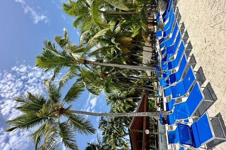 Small Group: Saona Island Full Day Tour