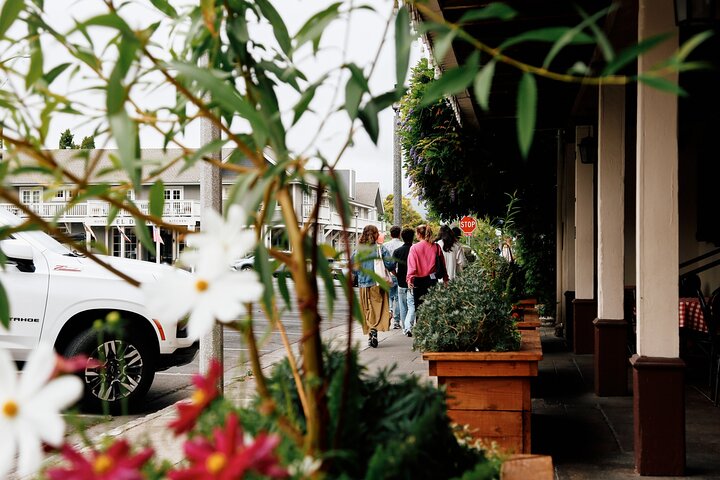 Napa and Sonoma Premium Small Group Wine Tour from San Francisco