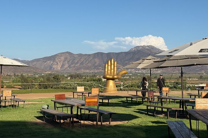 Private Deluxe Wine Tour to Valle de Guadalupe by Luxury Vehicle