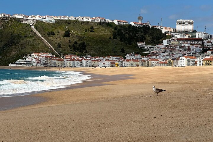 Private tour to Fatima, Nazare and Obidos