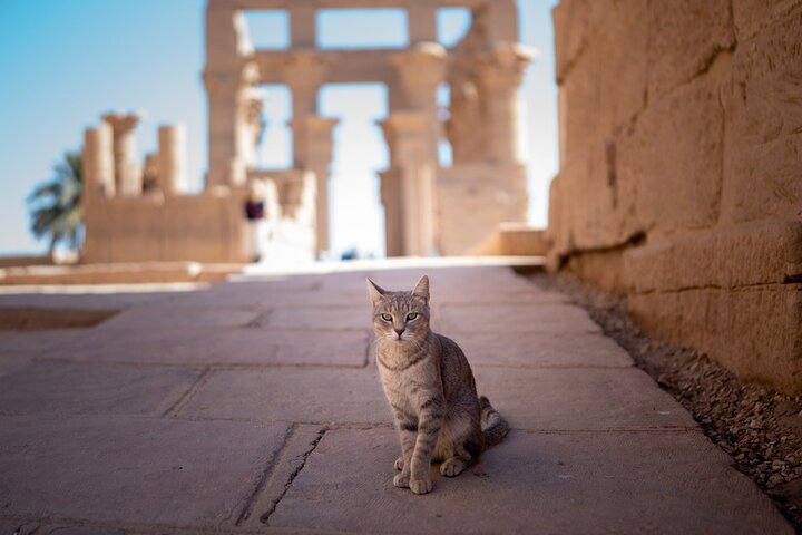 Luxor Tour to Valley of the Kings, Karnak Temples from Marsa Alam