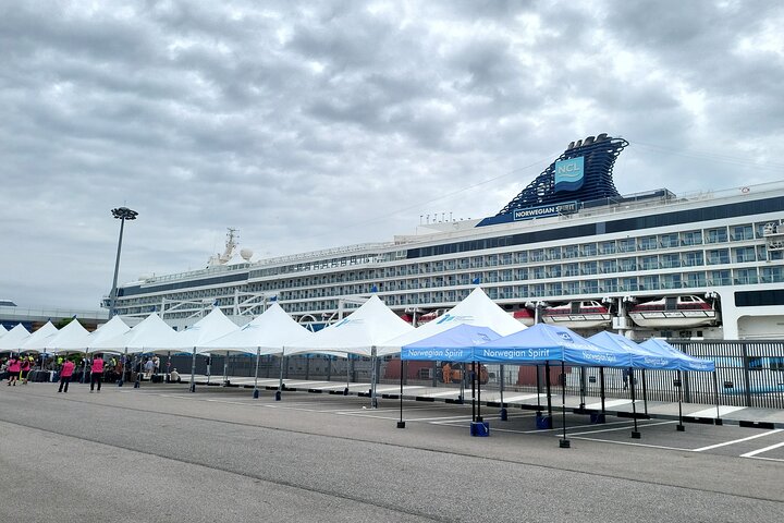Half or Day Private Tour For Cruise Incheon and Seoul City Tour
