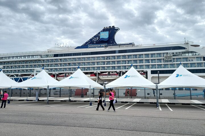 Half or Day Private Tour For Cruise Incheon and Seoul City Tour