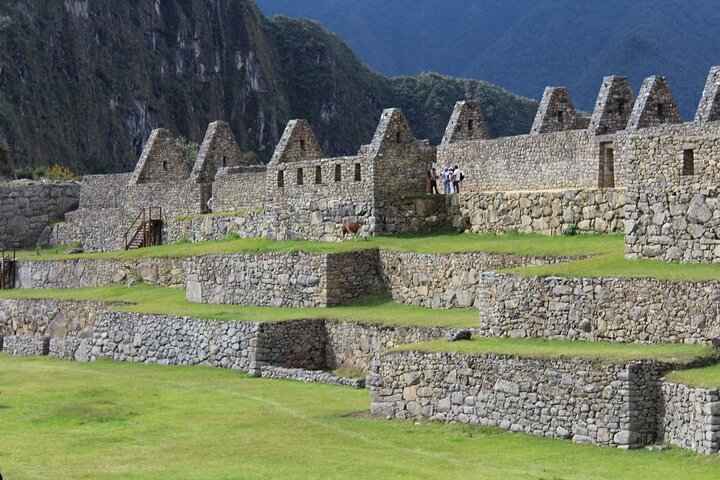 Ticket Machu Picchu with Private Guide