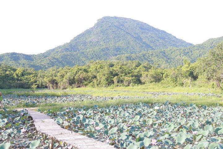 My Son Sanctuary Private Tour - Early Morning or Half Day Tour