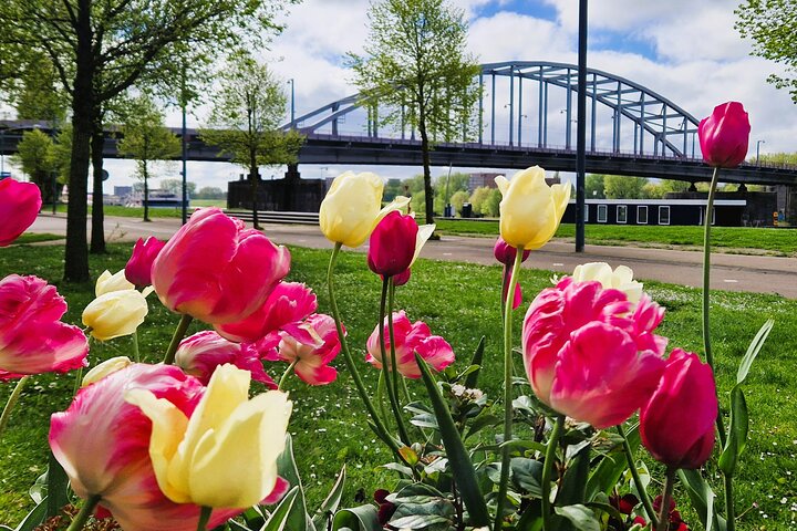 Private Guided Battle of Arnhem Tour group bookings 4 to 8 people