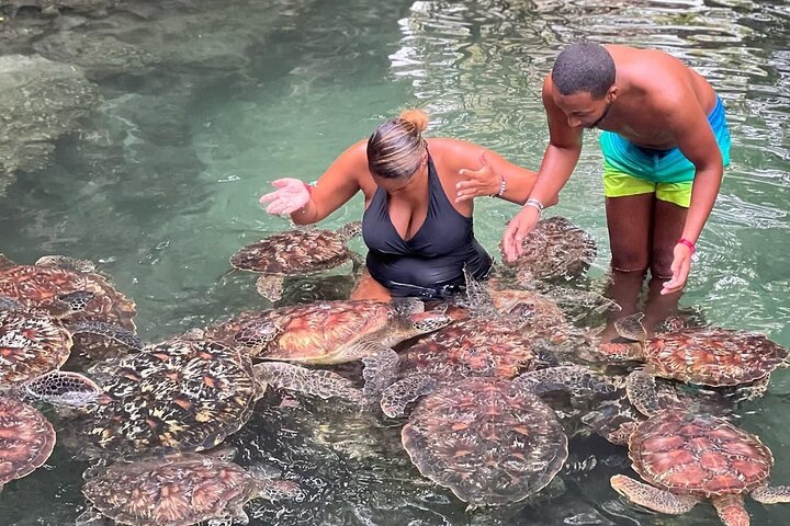 Zanzibar Full Day Private Tour with Sunset Beach & Seafood BBQ