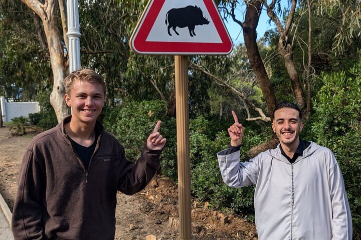 Tangier Private Day Trip from Tarifa or Malaga with Camel Ride