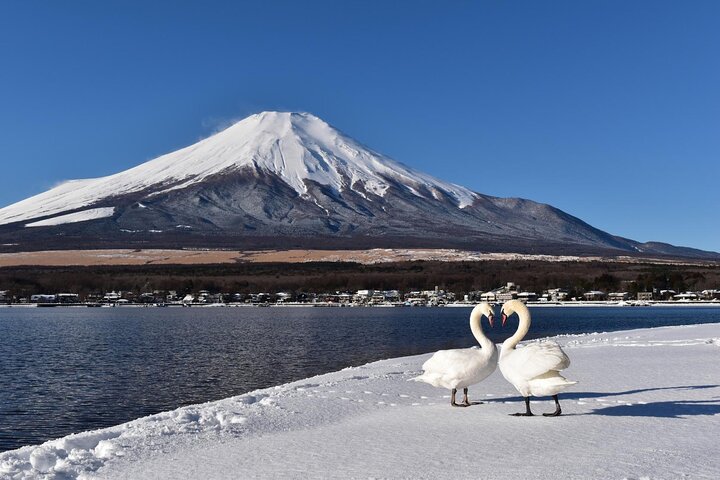 Mount Fuji Private Tour With English Guide Fully Customizable