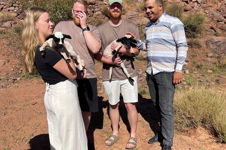 3 Days Group Tour from Marrakech to Merzouga Desert