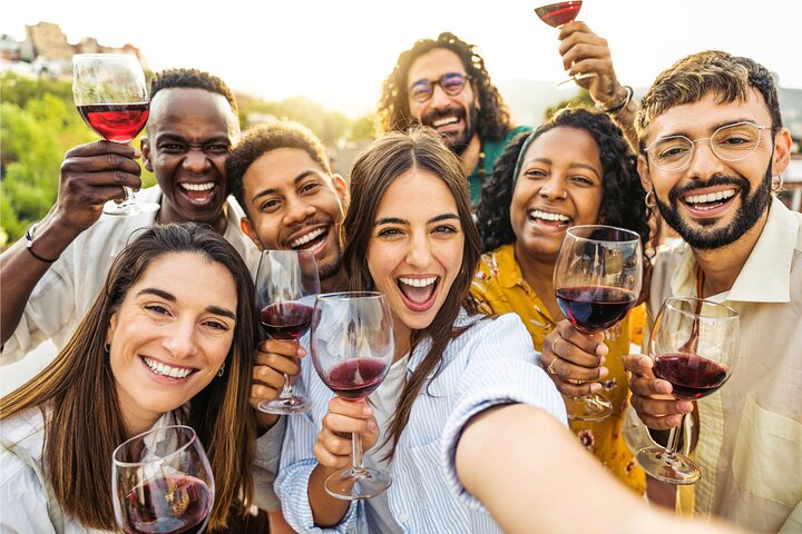 Napa and Sonoma Premium Small Group Wine Tour from San Francisco