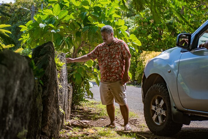 Bora Bora: Half Day Island 4WD Guided Tour
