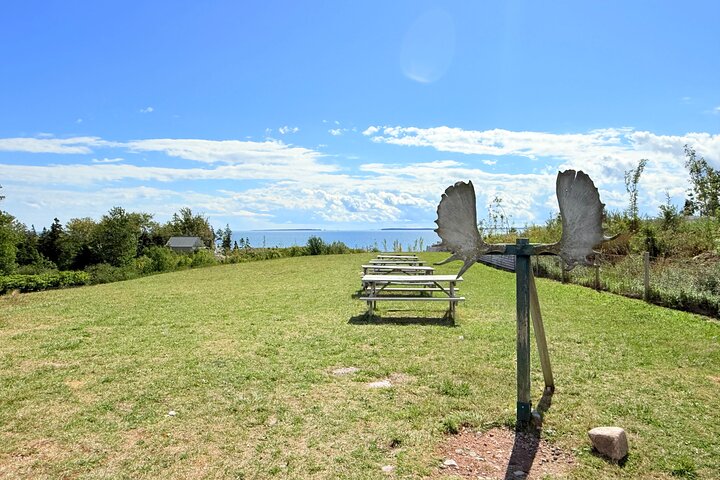 Highland Tours: Cabot Trail Excursion Sydney Cape Breton Island