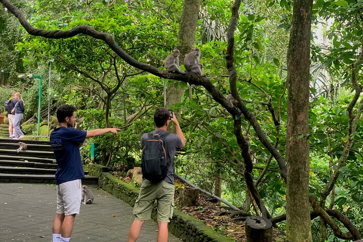 Discover The Best of Ubud: All-Inclusive and Private Guided Tour