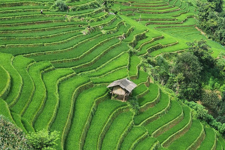 3 Days Trekking Mu Cang Chai Hidden Trails