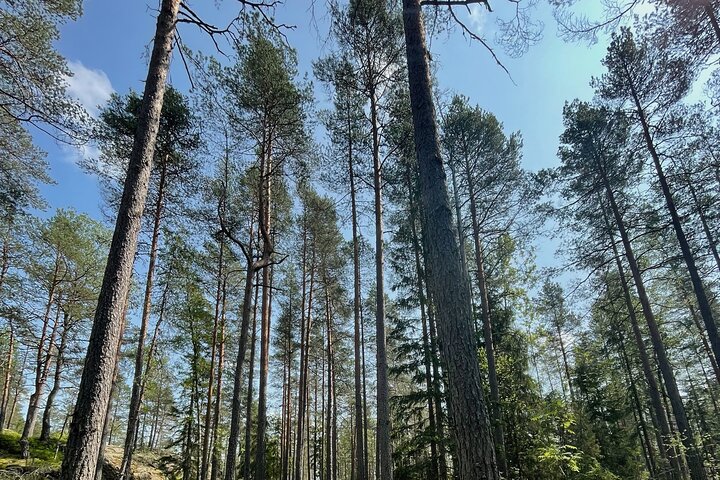 Helsinki: Nuuksio National park hiking with campfire lunch