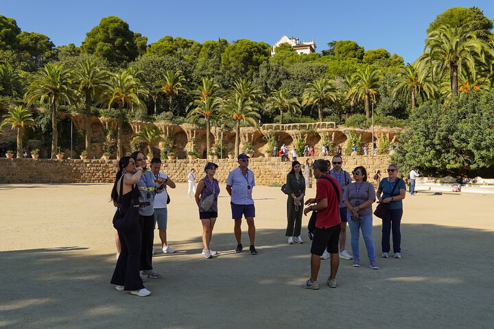 Park Guell Skip-the-Line Guided Tour in Barcelona