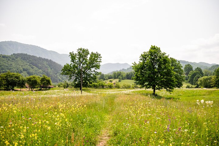 Discover Apuseni Mountains - Scarita Summit,Sipote Waterfall and Dumesti Village