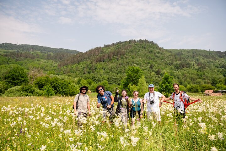 Discover Apuseni Mountains - Scarita Summit,Sipote Waterfall and Dumesti Village
