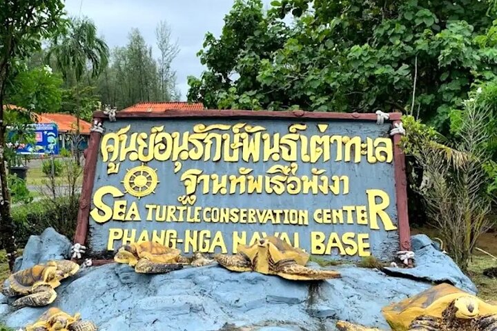 Khao Lak Highlights with Temple, Turtles & Elephants