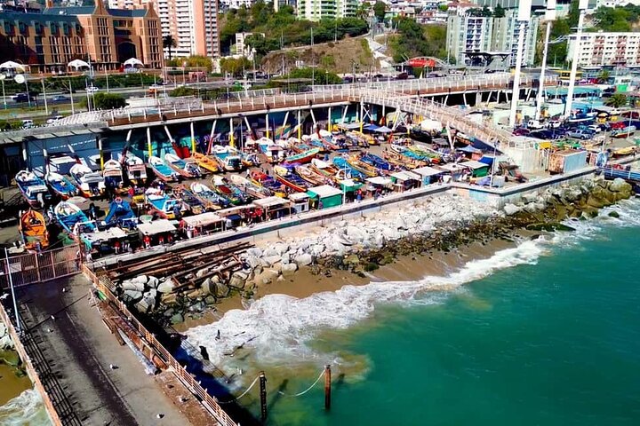 Santiago: Viña del Mar, Valparaiso, with Casablanca Wine Tasting
