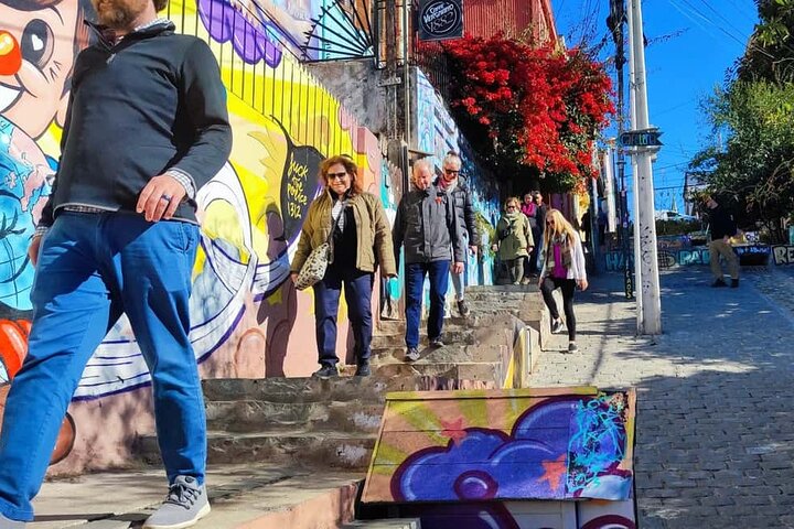 Santiago: Viña del Mar, Valparaiso, with Casablanca Wine Tasting