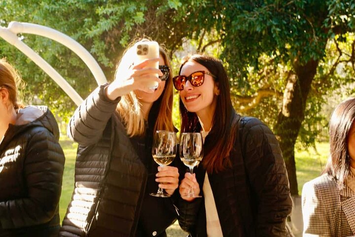 Santiago: Viña del Mar, Valparaiso, with Casablanca Wine Tasting
