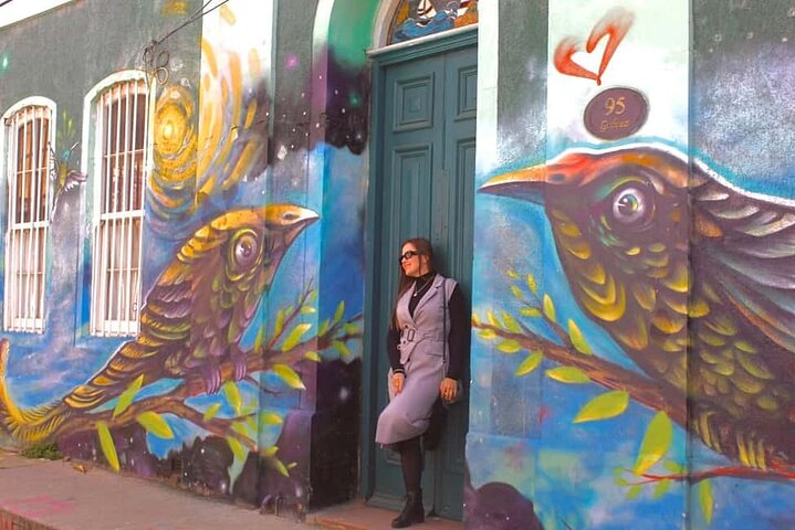 Santiago: Viña del Mar, Valparaiso, with Casablanca Wine Tasting