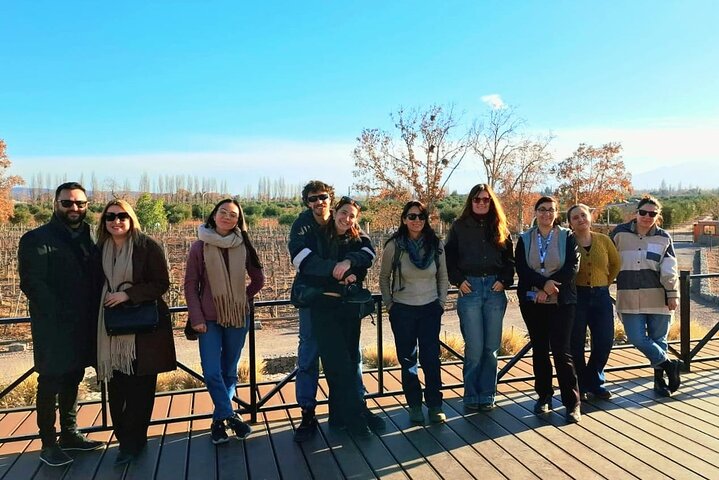 Excursión de 3 bodegas y 1 olivícola con degustación