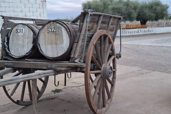 Excursión de 3 bodegas y 1 olivícola con degustación